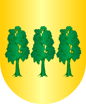 ESCUDO SIGUIENTE